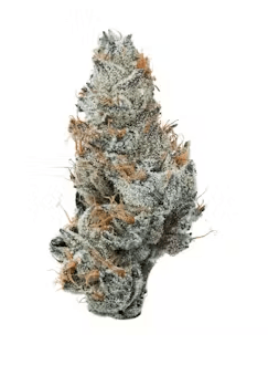 Grape Ape and Jupiter Juice cannabis strains side by side, showcasing their distinctive effects and flavors.